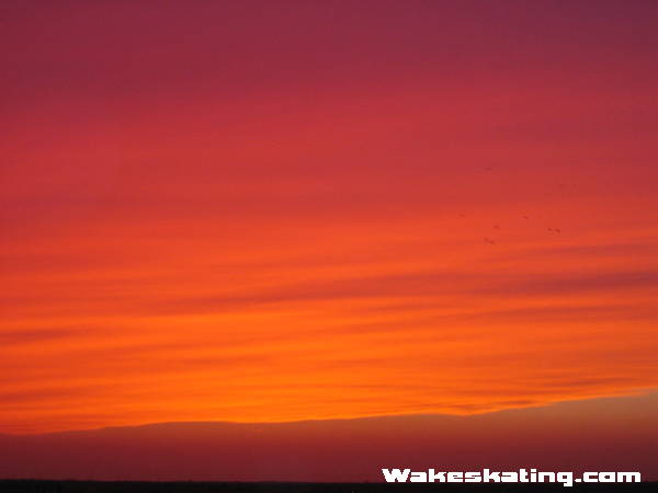 36IMG_1033