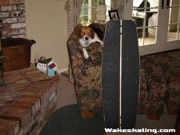 590wakeskate_008