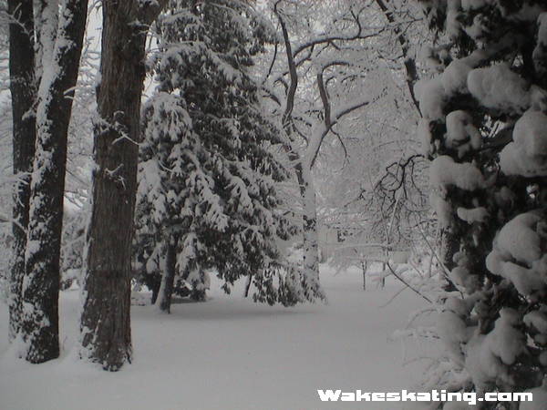 Picture_111