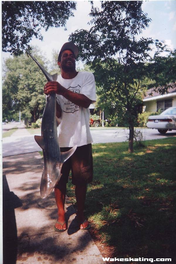 black_tip_surfside_08_40lb_4ft