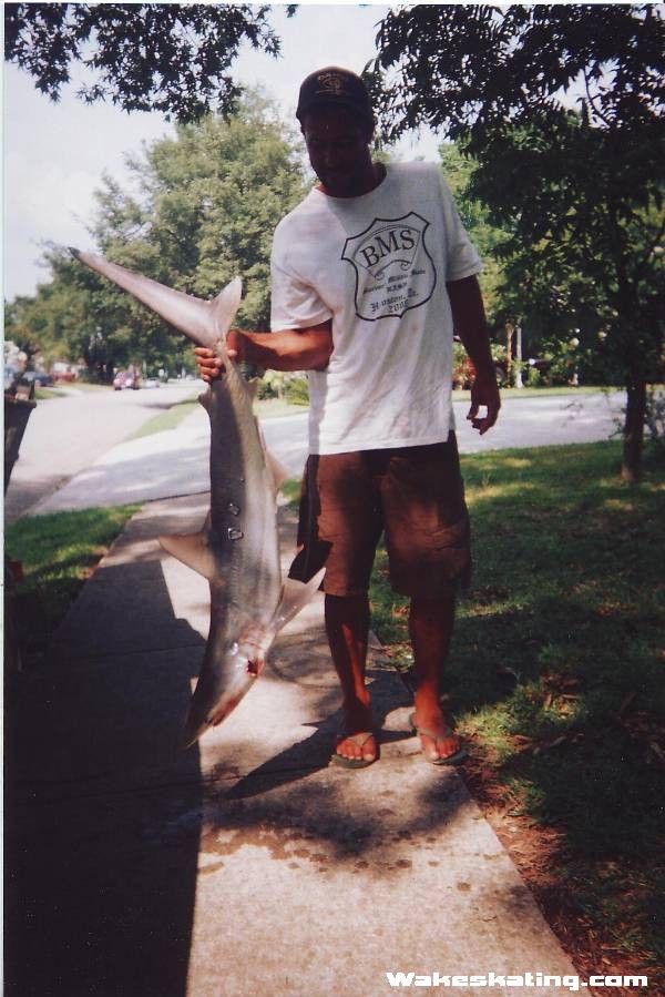 james_mcc_black_tip_cuaght_in_surfside_08