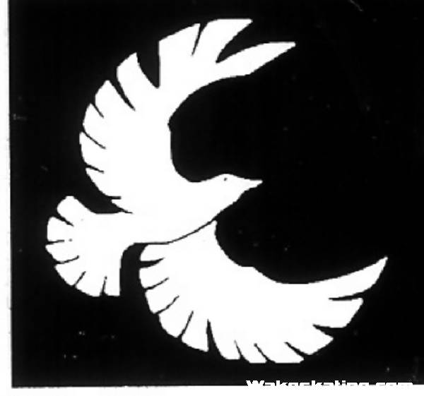 scan