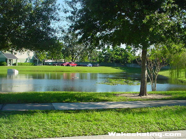 skatepond_008