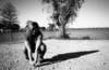 1021Jasons_pics_012.jpg