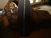 590wakeskate_009.JPG