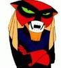 670brak-5.jpg