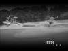 1021Jesse_waterproof_cam_day_0001.wmv