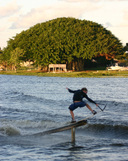 16tybacklip