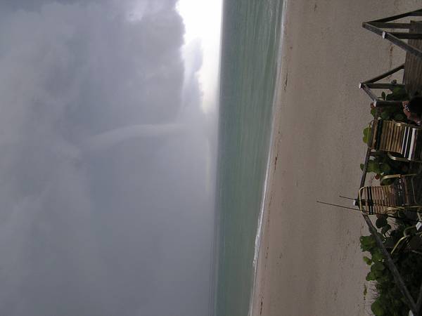 319Picture_017