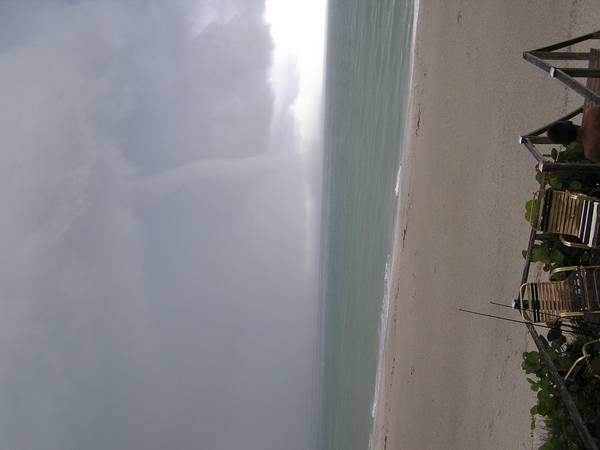 319Picture_018