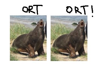 ortort