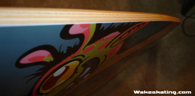 Giraffe_edge